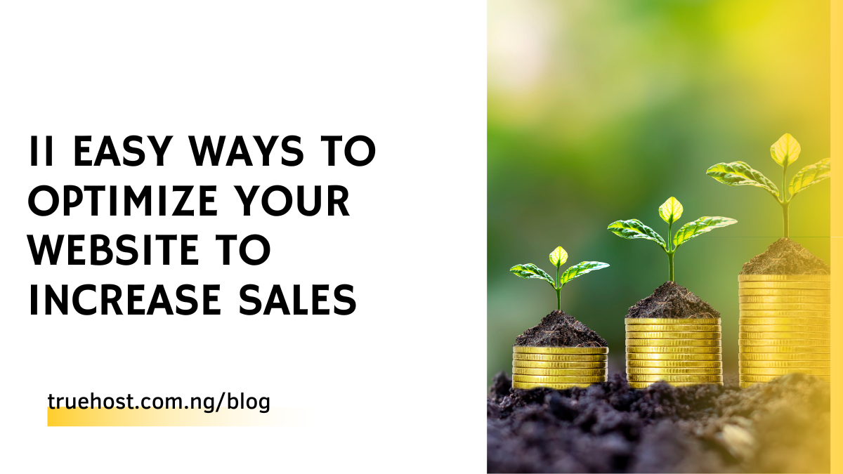 Optimize Your Website to Increase Sales in Nigeria